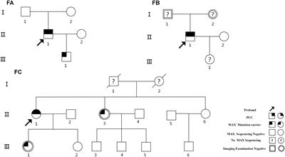 Genotype and clinical phenotype characteristics of MAX germline mutation–associated pheochromocytoma/paraganglioma syndrome